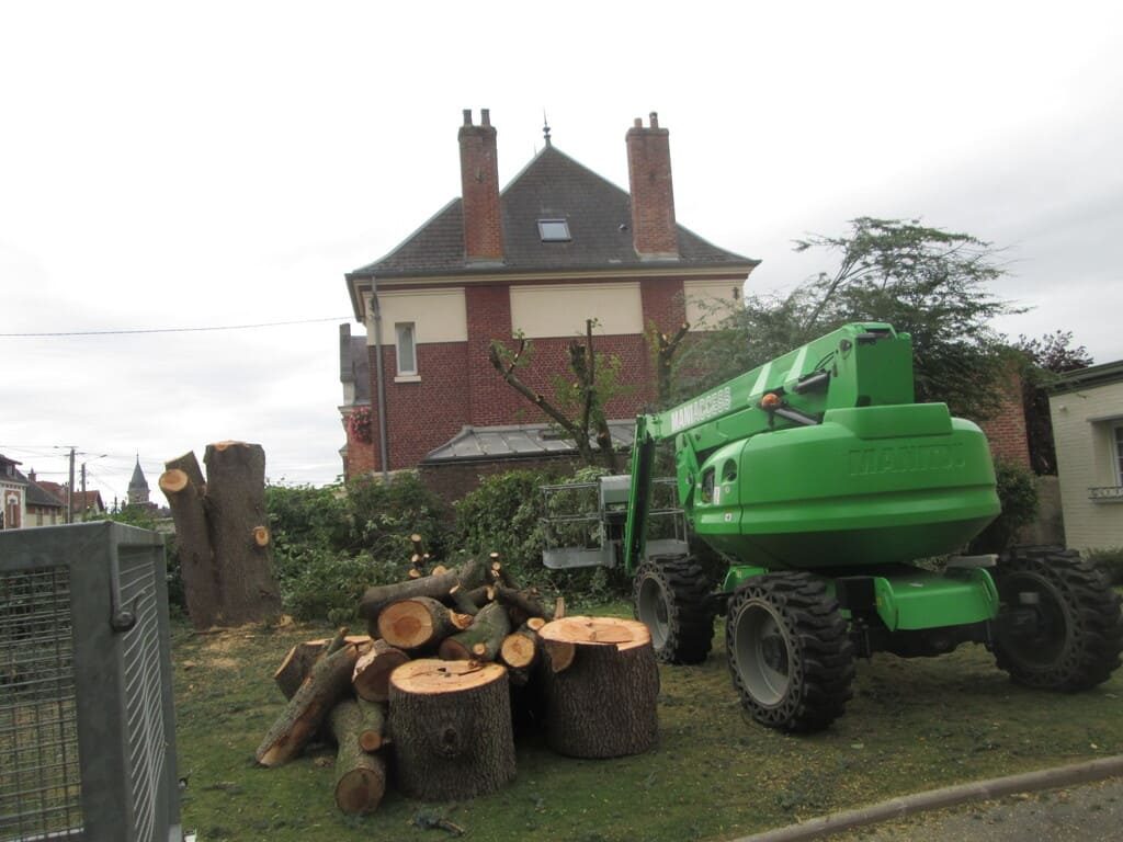 abattage arbre cambrai arras douai green net services
